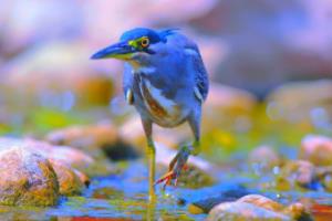 欧国联抢眼新星崭露头角，成为球队焦点